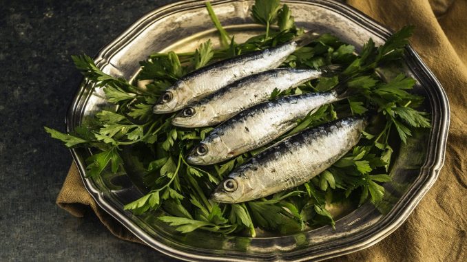 sardines-1468422_1280