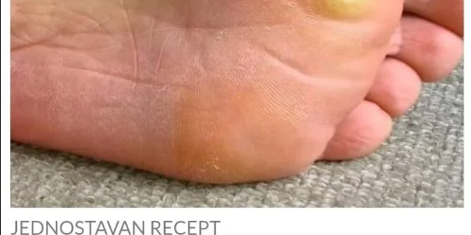 469161000_901094365483458_937436545736200797_n-668x334 (1)