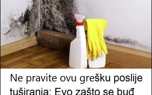 FB_IMG_1760255544955