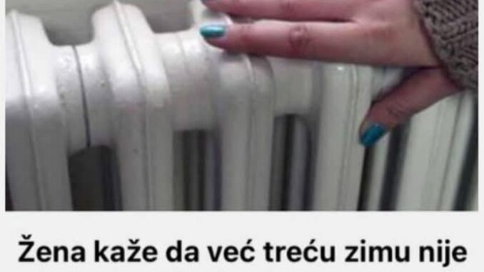 FB_IMG_1760514500533