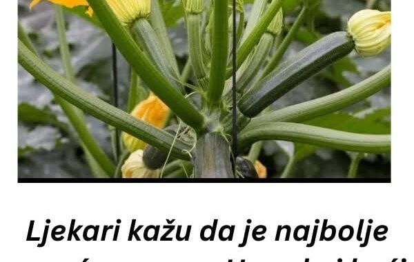 FB_IMG_1760597197112