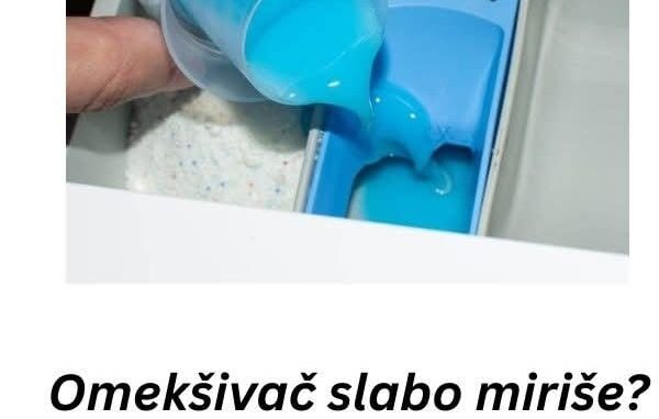 FB_IMG_1760773147049