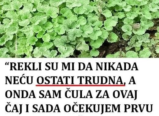 FB_IMG_1761758260059